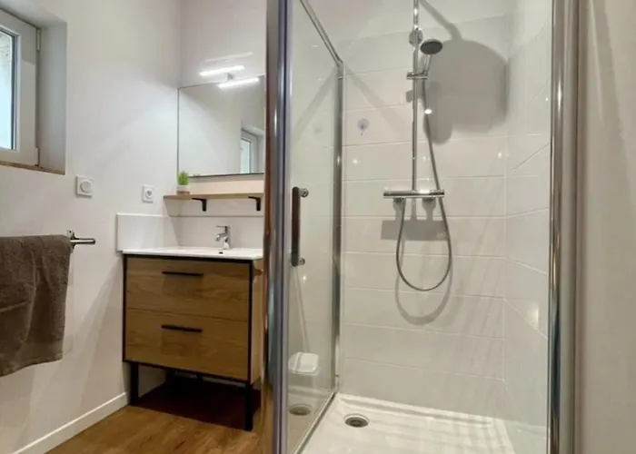 Du Pont Joubert Apartment Poitiers